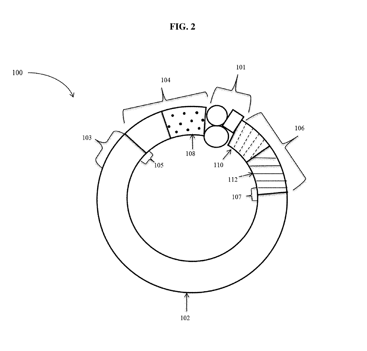 Circular polynucleotides