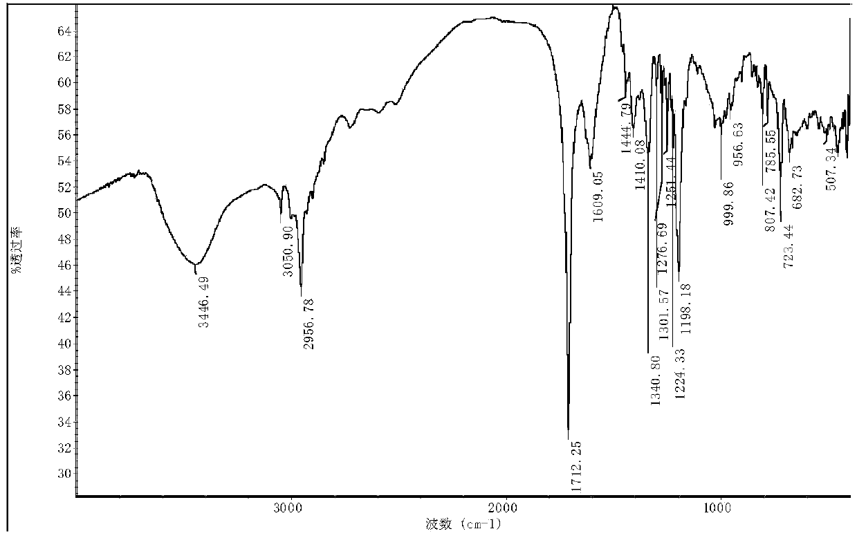 Cyclopentadienyl transition metal nickel-nitrogen complex, as well as preparation method and applications thereof