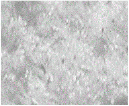 A kind of magnetic compound polymer plastic alloy material and preparation method thereof