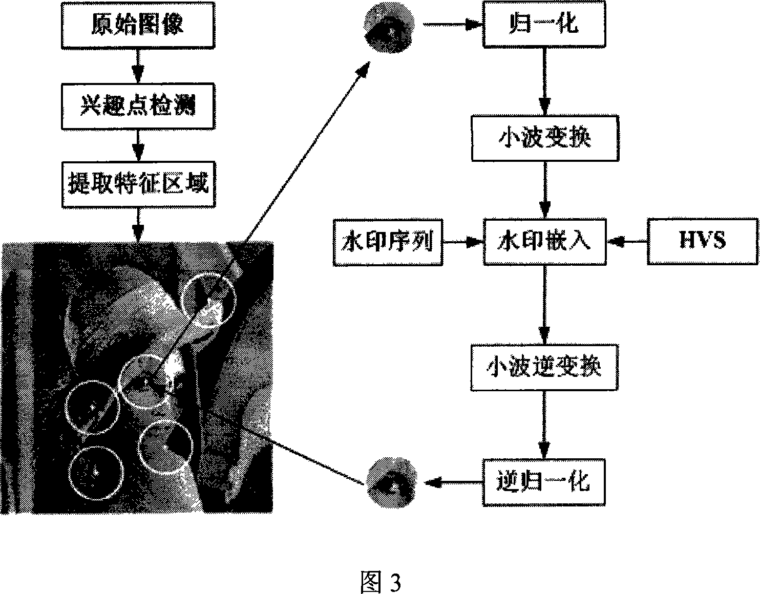 Digital watermark method against geometrical attack based on image characteristic region