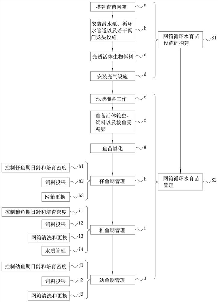 Liza haematocheila seawater pond circulating water fry breeding method