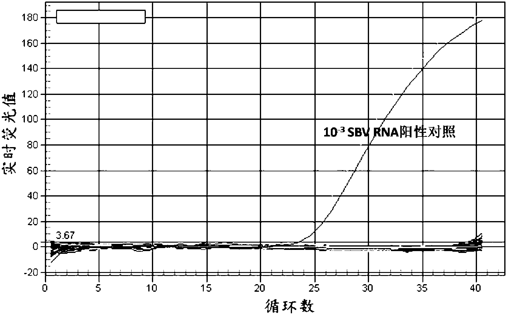 Fluorescent quantitative reverse-transcription-polymerase chain reaction (RT-PCR) primer for detecting schmallenberg virus and probe