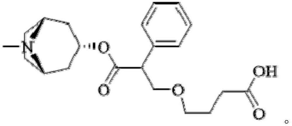 Hybridoma cell strain capable of secreting scopolamine monoclonal antibody and application of hybridoma cell strain