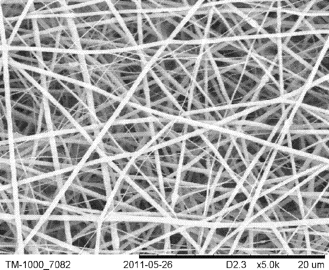 Preparation method of NiO/gamma-Al2O3 composite ceramic nanofiber