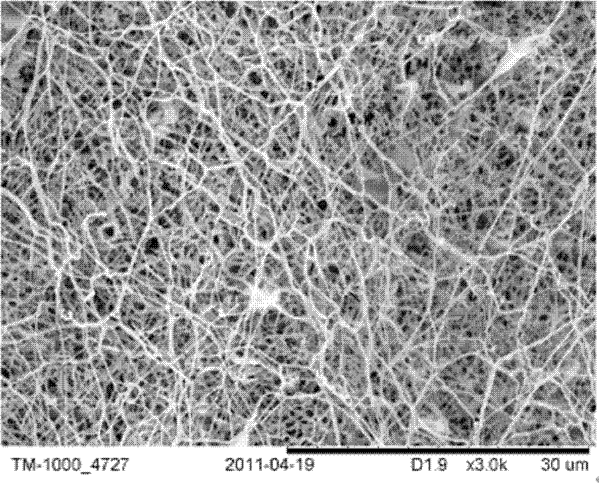 Preparation method of NiO/gamma-Al2O3 composite ceramic nanofiber