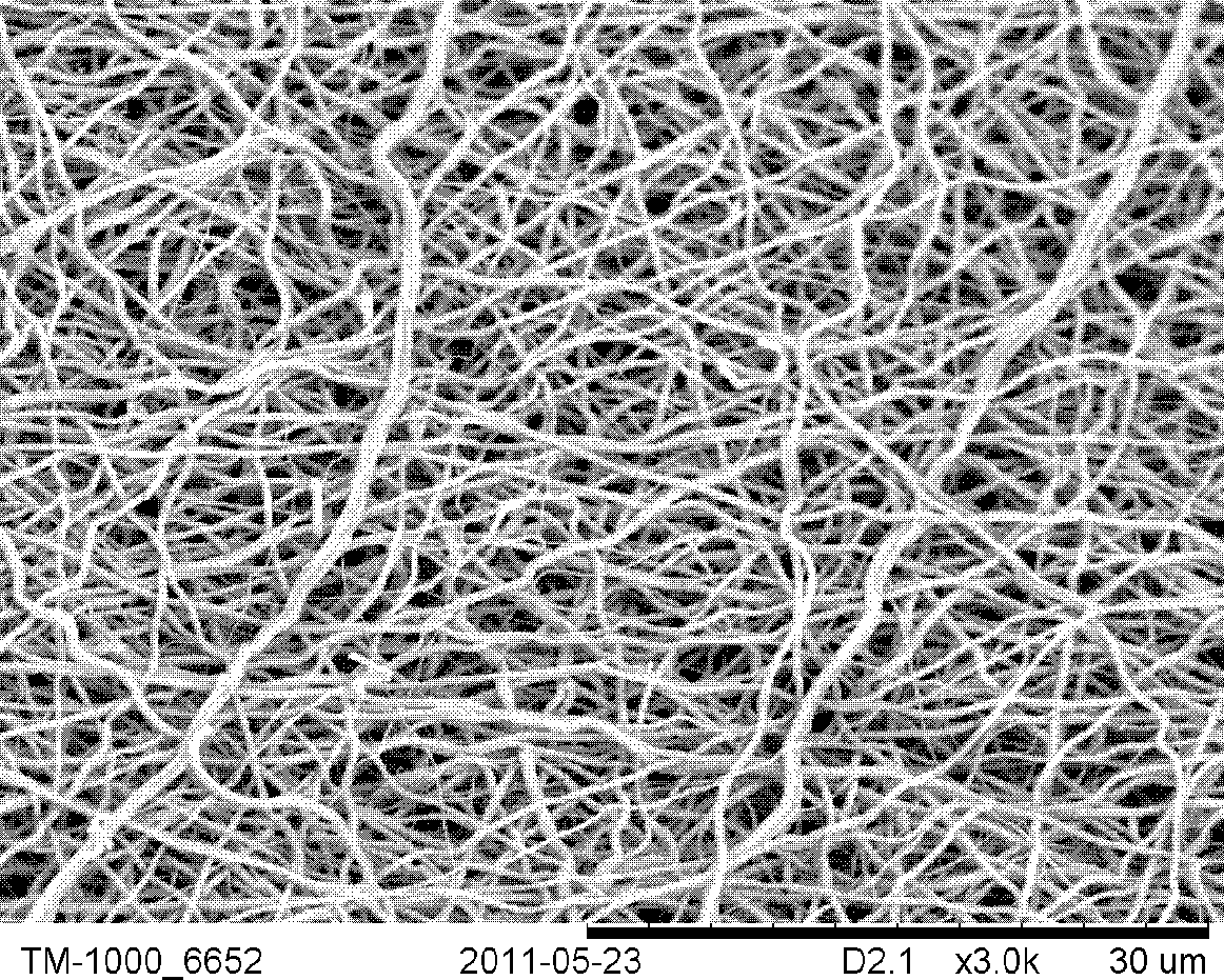 Preparation method of NiO/gamma-Al2O3 composite ceramic nanofiber