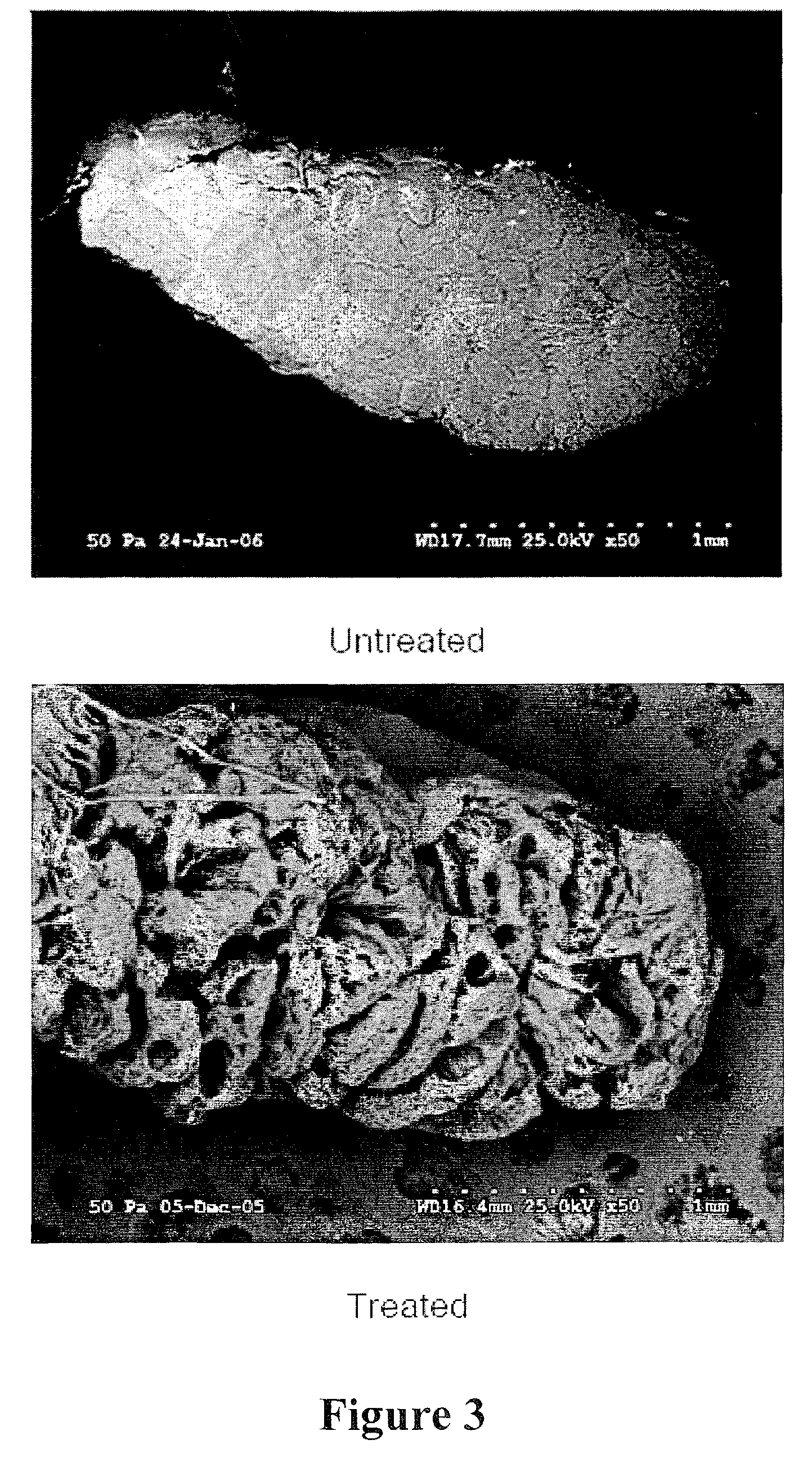 Structurally modified acellular tissue engineering scaffolds and methods of production