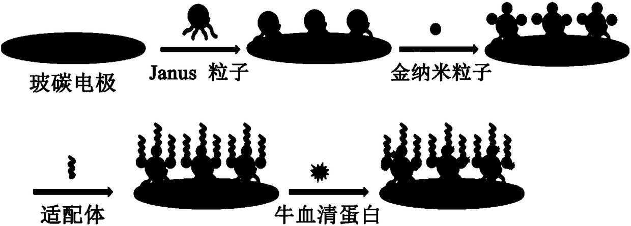 A kind of electrochemical immunosensor and its preparation method and application