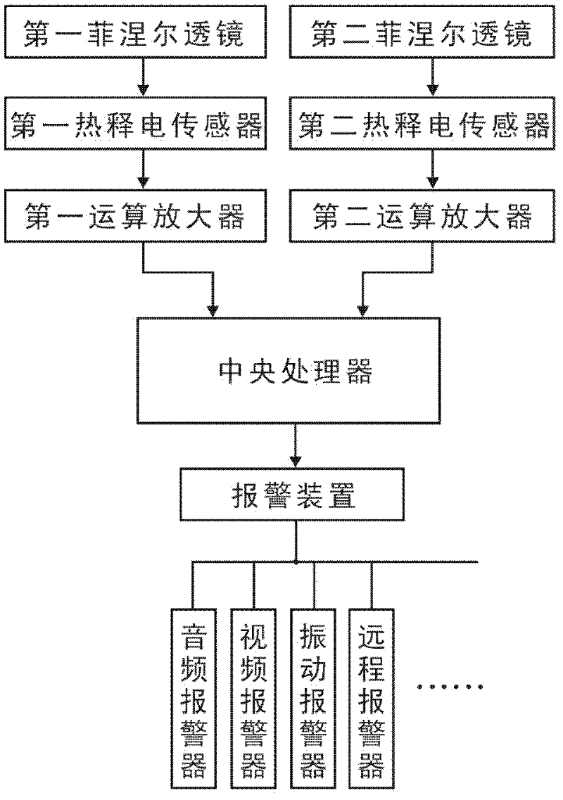 Human body invasion detector capable of intelligent analysis and detection method thereof