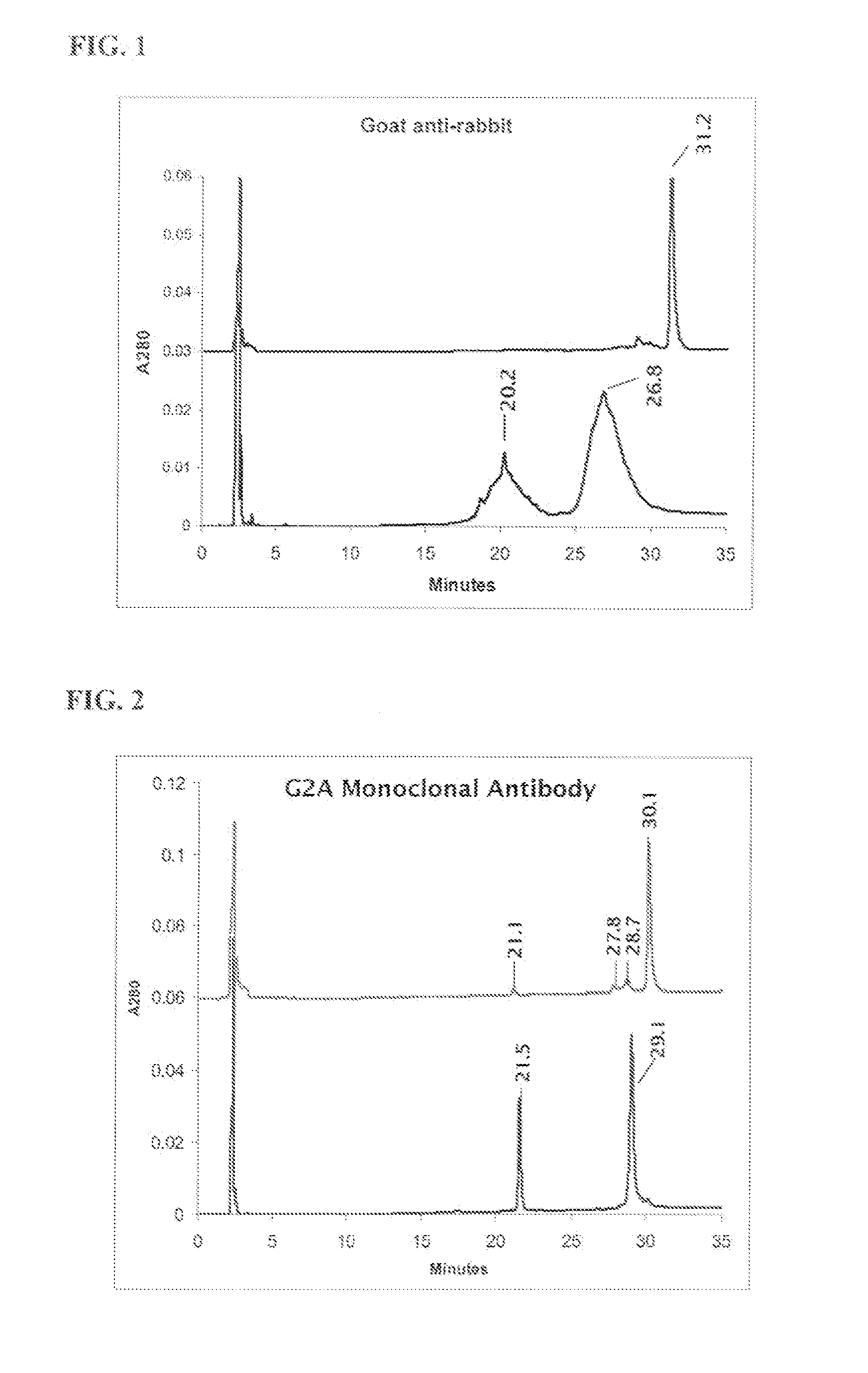 Oligosaccharide modification and labeling of proteins