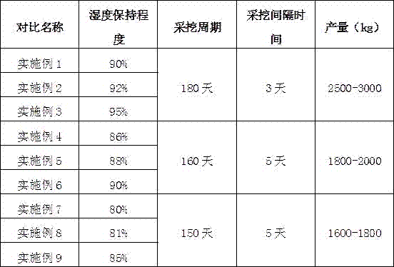 Summer and autumn lei bamboo rhizome shoot moisture retention control method