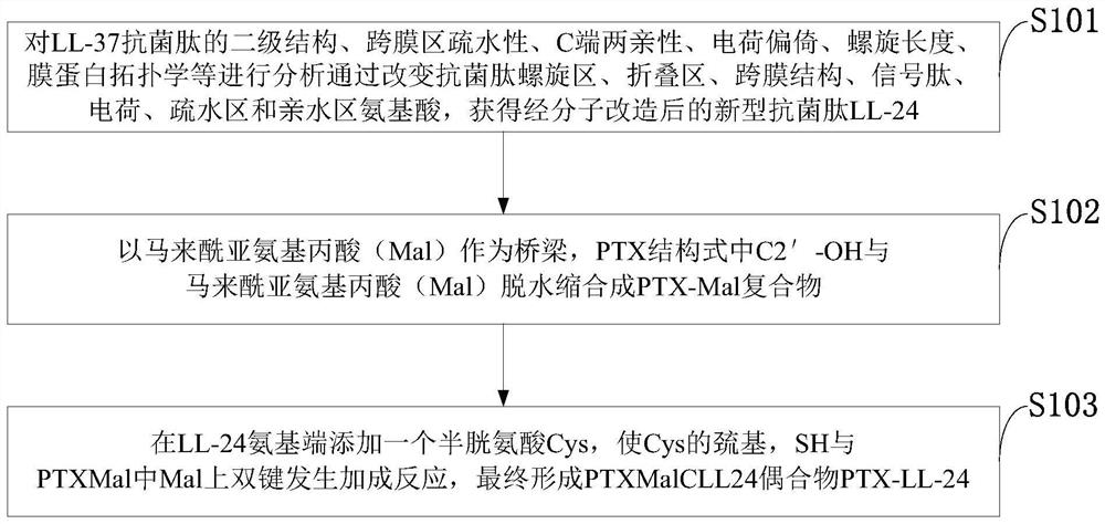 Paclitaxel-antibacterial peptide conjugate, synthesis method and applications for inhibiting activity of cancer