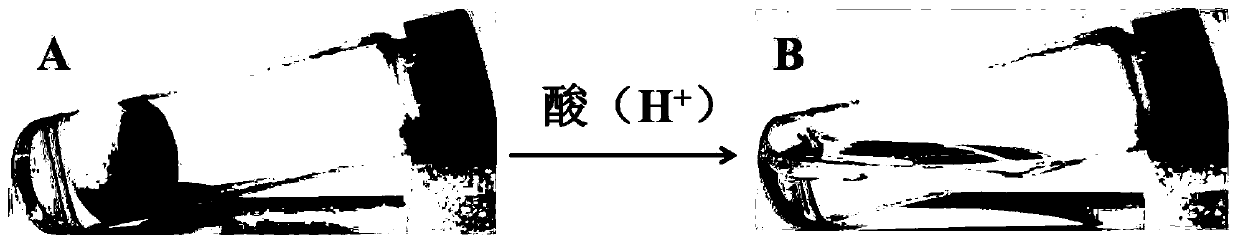 Fatty acid-based extractant for heavy metal ions as well as preparation method of extractant and extraction method of heavy metal ions