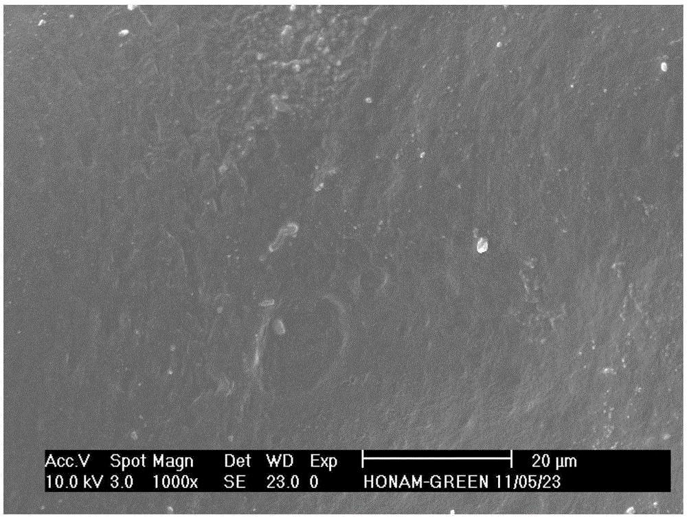 Propylene ethylene high melt strength polypropylene foam board or sheet and preparation method thereof