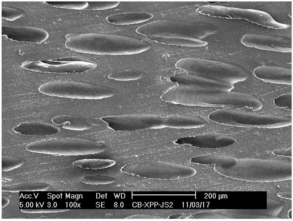 Propylene ethylene high melt strength polypropylene foam board or sheet and preparation method thereof