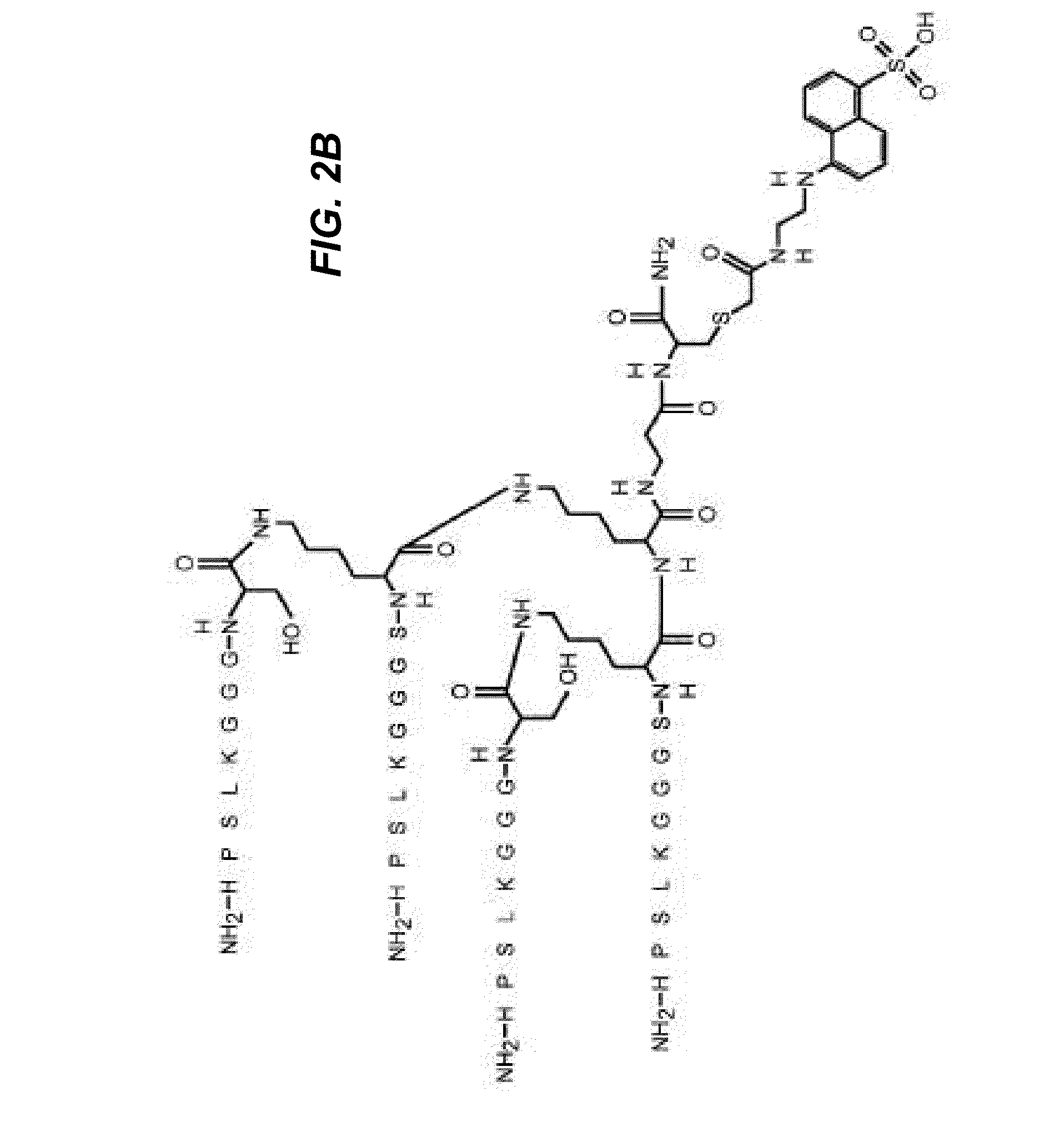 Therapeutic peptides and uses thereof