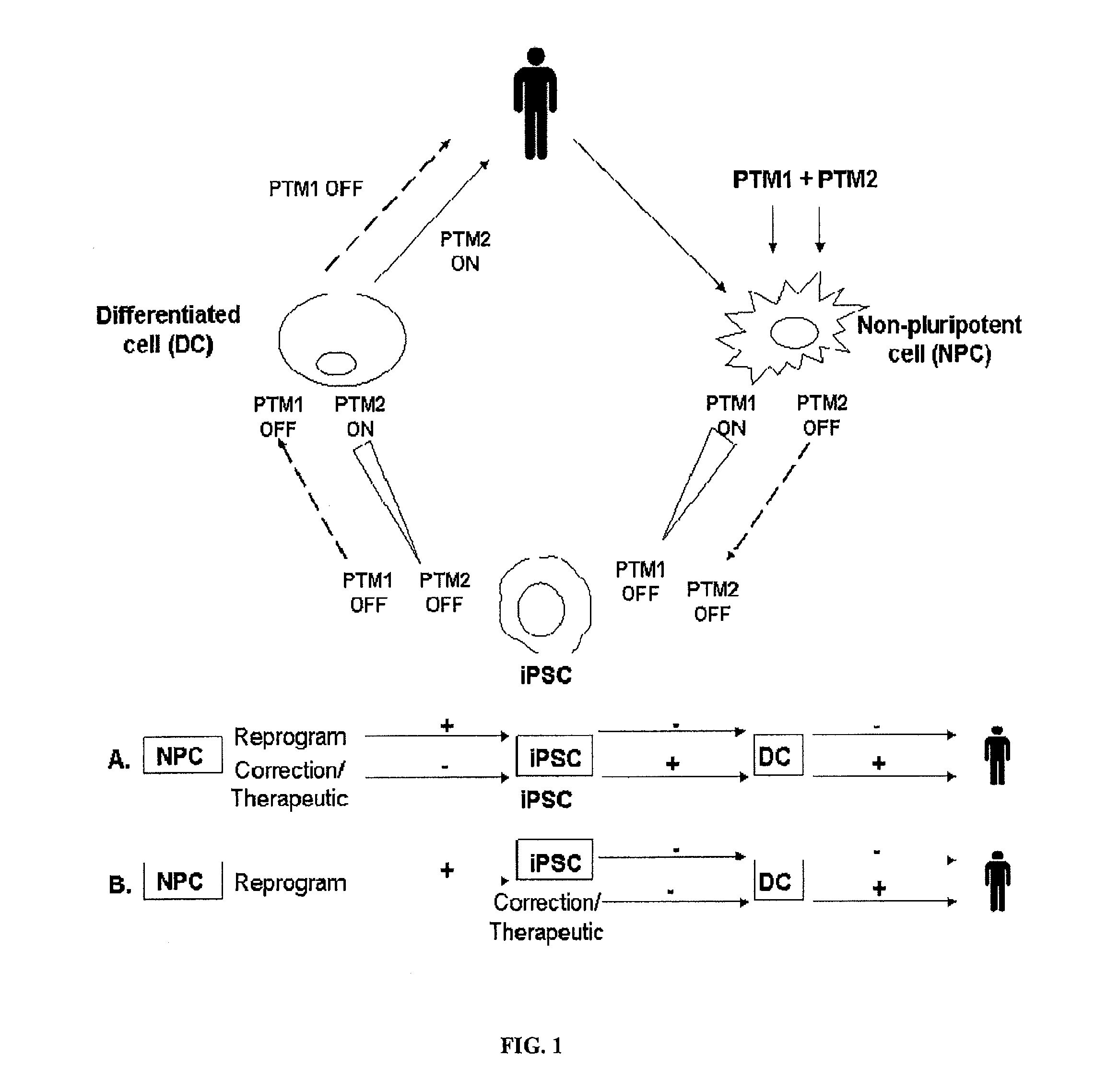 Compositions and methods for generation of pluripotent stem cells