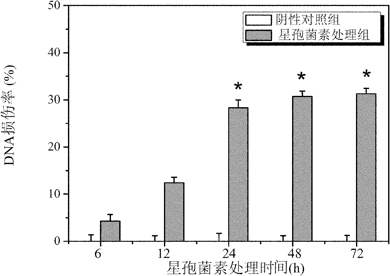 Method for carrying out enzyme-linked immunoadsorption detection on integral zebra fish and application thereof