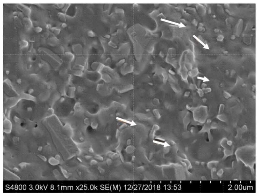 A kind of gutta-percha containing boron nitride and preparation method thereof