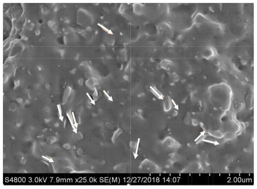 A kind of gutta-percha containing boron nitride and preparation method thereof