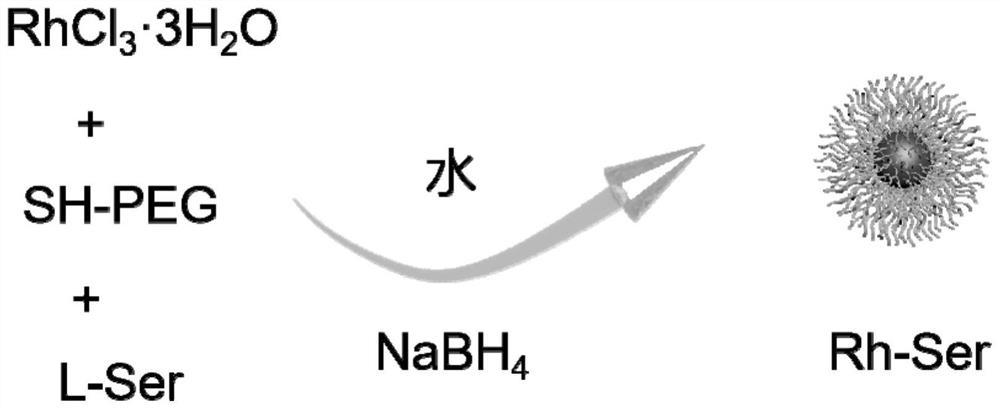 Nano enzyme as well as preparation method and application thereof