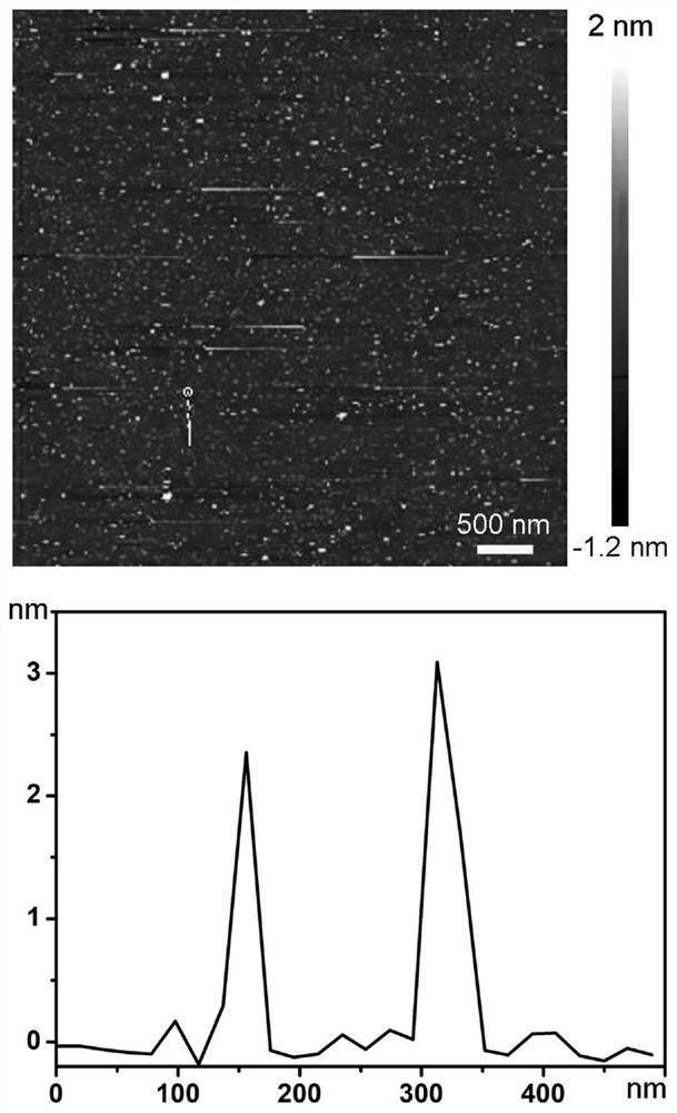 Nano enzyme as well as preparation method and application thereof