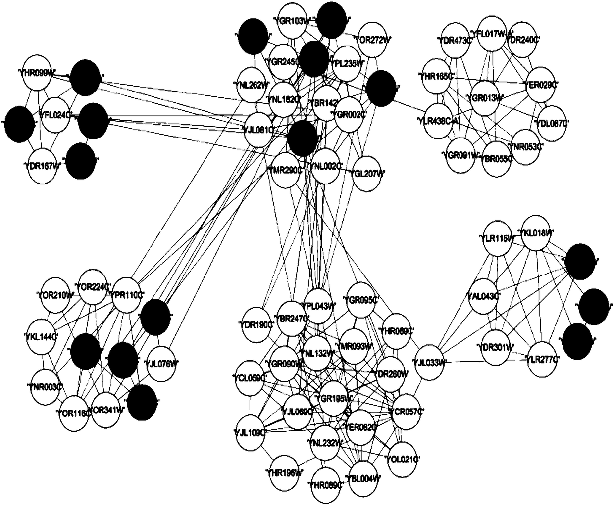 Method for identifying key protein through fruit fly optimization algorithm