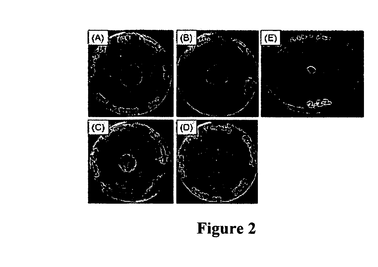 Method for treating/controlling/killing fungi and bacteria