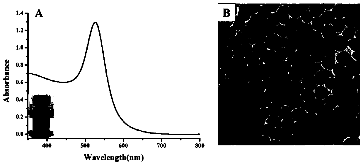 Surface-enhanced Raman flexible substrate for quantitative detection of pesticide parathion-methyl and detection method