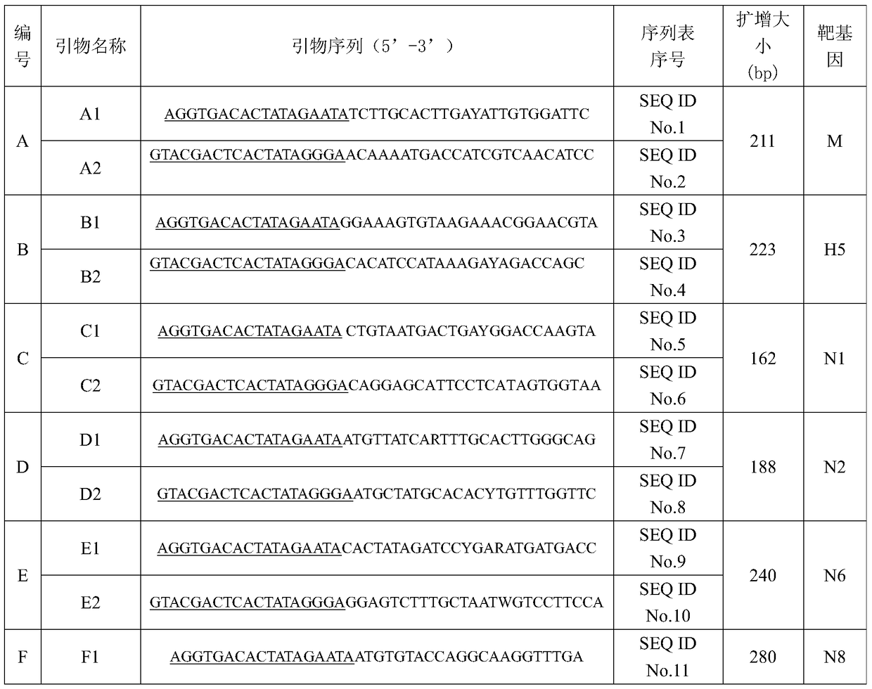 A gexp rapid detection kit for simultaneous identification of h5 subtype avian influenza virus and its four different na subtypes