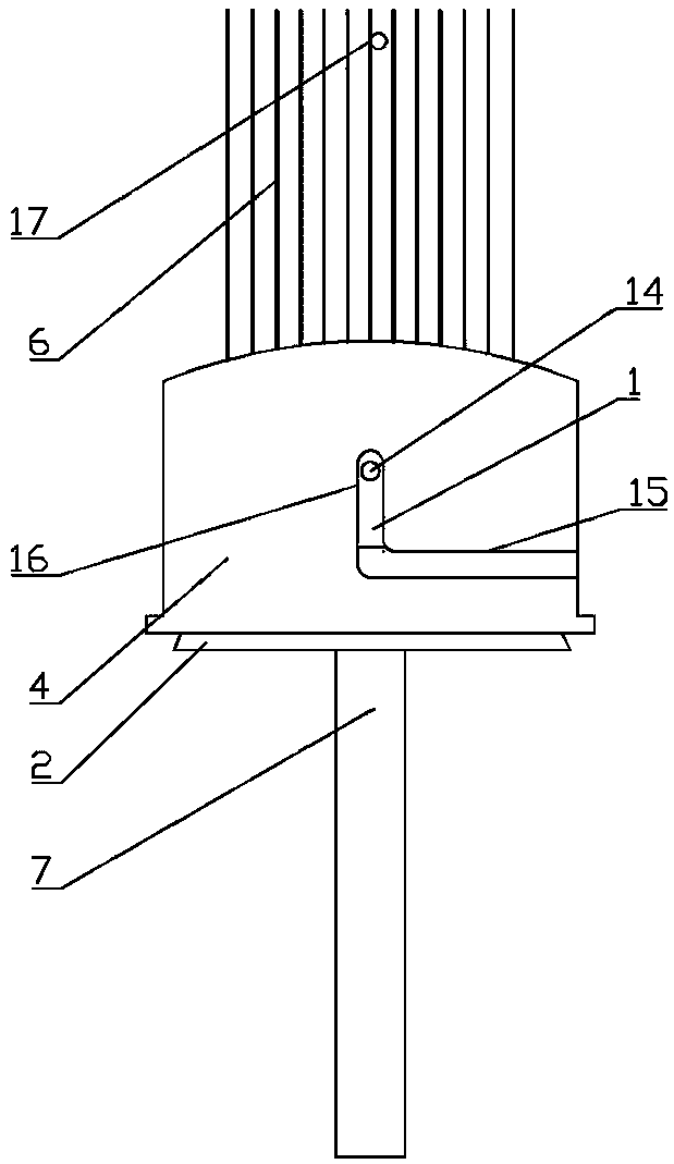 Anti-electrostatic anti-blocking and breaking-free bird thorn