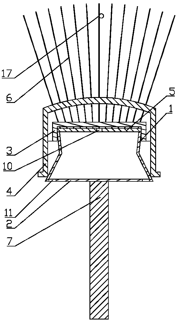 Anti-electrostatic anti-blocking and breaking-free bird thorn