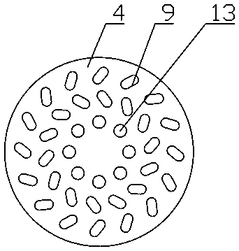 Anti-electrostatic anti-blocking and breaking-free bird thorn