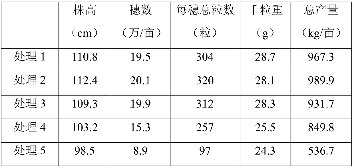 Rice special composite microbial fertilizer and preparation method thereof