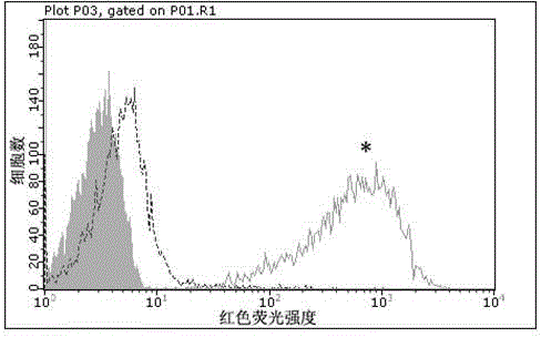 Antibody capable of being specifically combined with GLP-1R and fusion protein of antibody and GLP-1