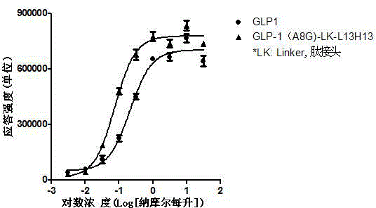 Antibody capable of being specifically combined with GLP-1R and fusion protein of antibody and GLP-1