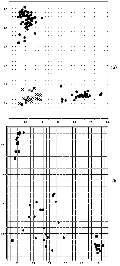 KASP mark for detecting powdery mildew resistant gene of aegilops tauschii and application