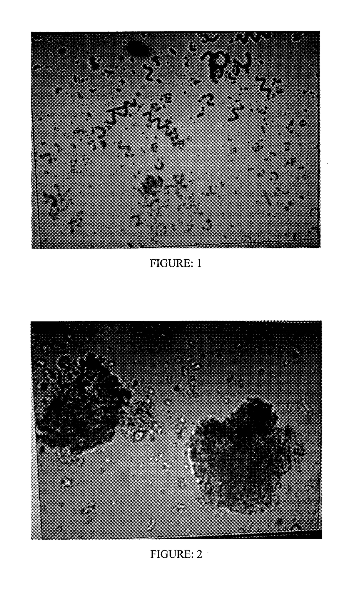 Novel Crop Fortification, Nutrition and Crop Protection Composition