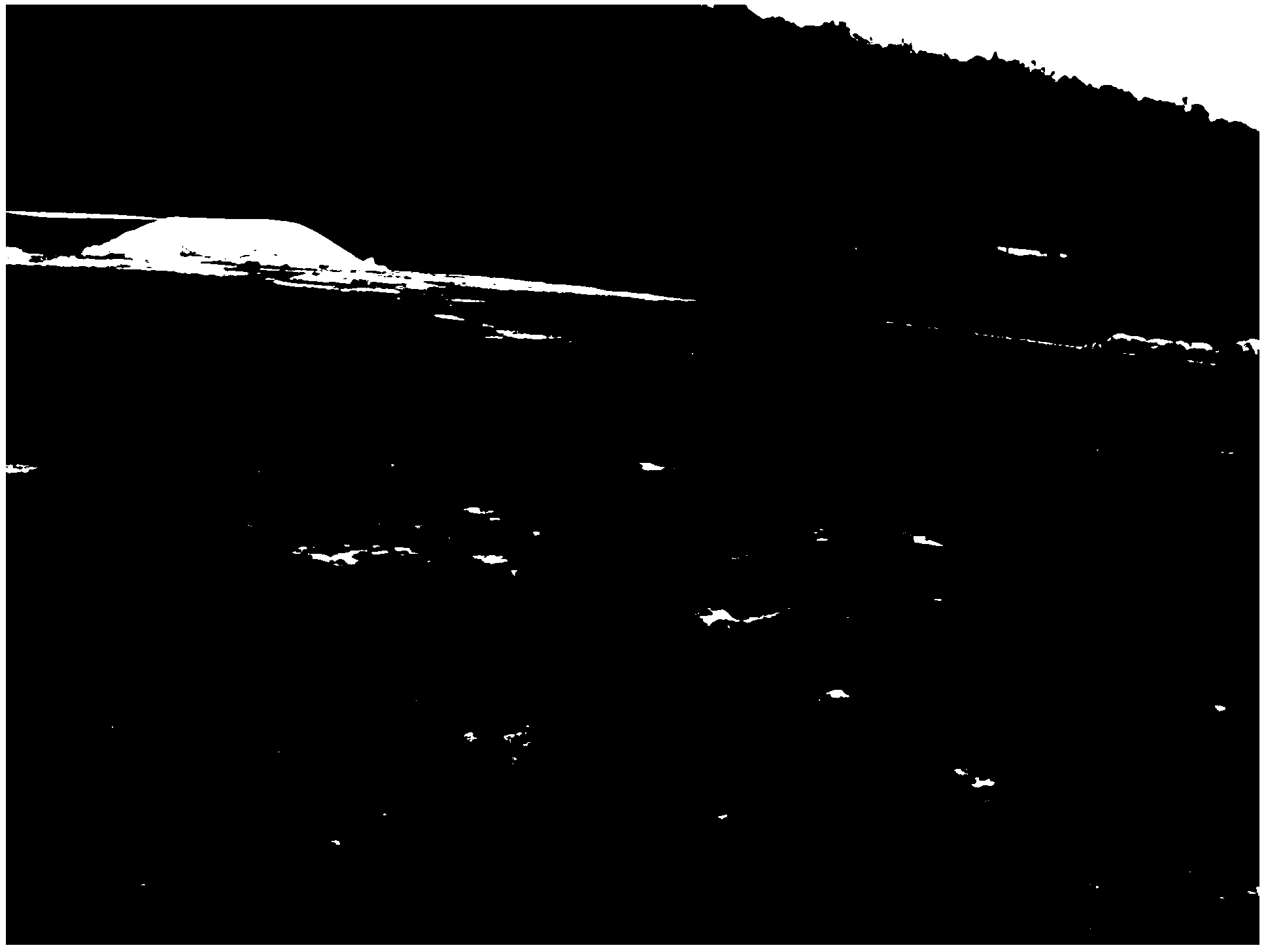 Preparation method of microorganism organic fertilizer