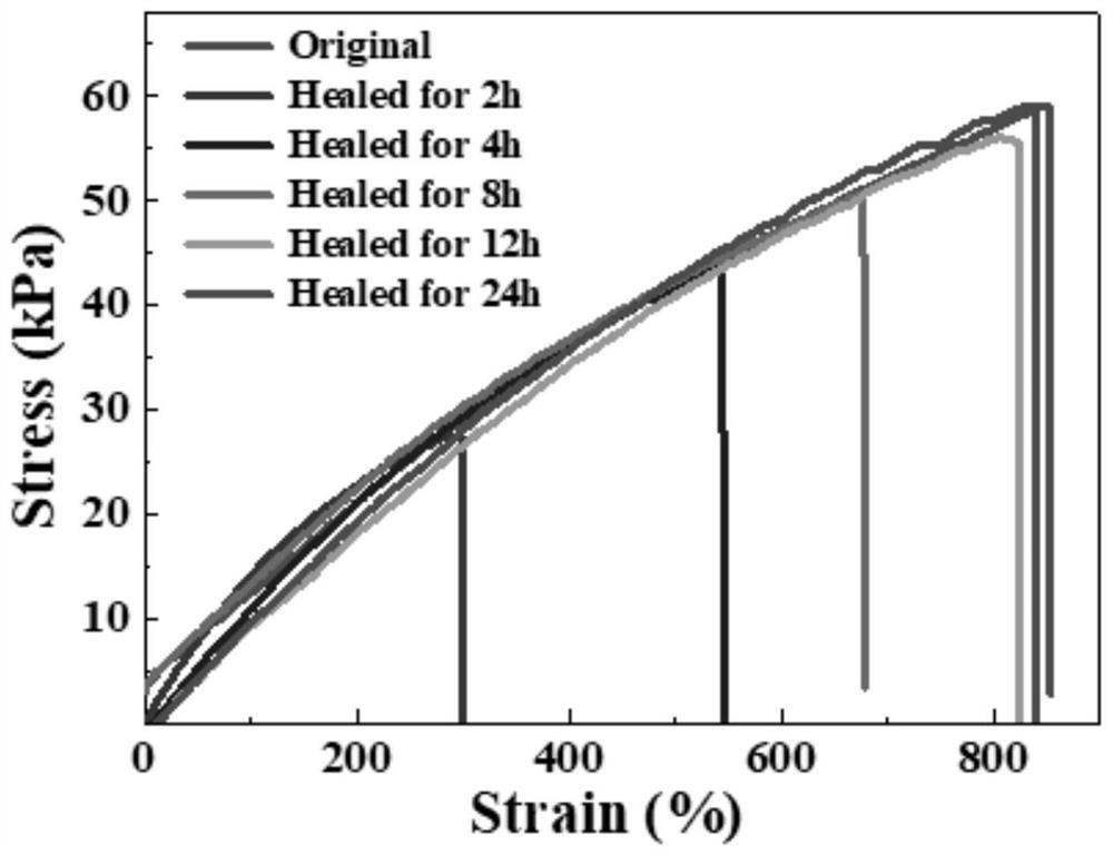 Preparation method and application method of tempo nano cellulose-polyacrylic acid gel