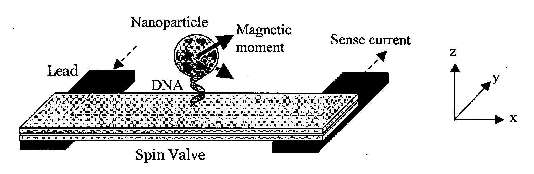 Magnetic nanoparticles, magnetic detector arrays, and methods for thier use in detecting biological molecules