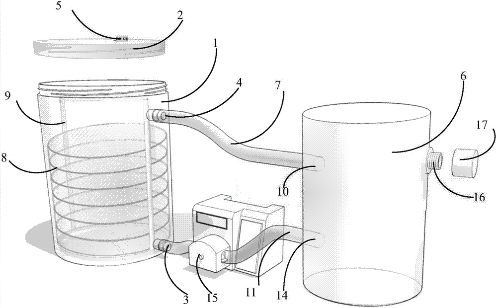 A kind of intermittent immersion type orchid plant protocorm multiplication and rapid propagation method