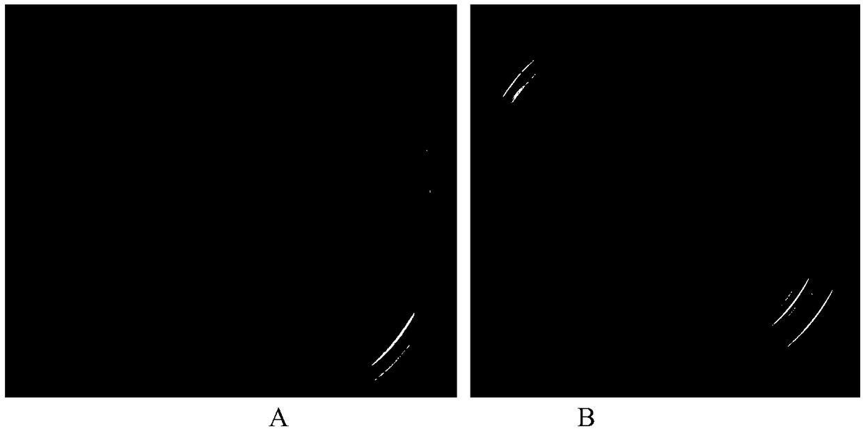 Rhizobium sp. WYJ-E13 and its application in preparation of Curcuma wenyujin growth promoter