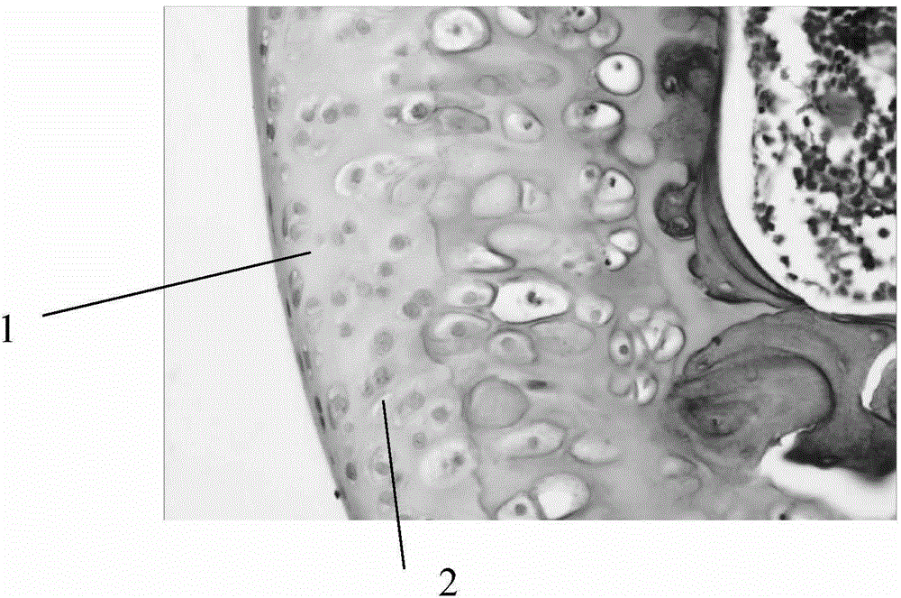 Intra-articular liquid-solid composite lubricating agent and preparation method