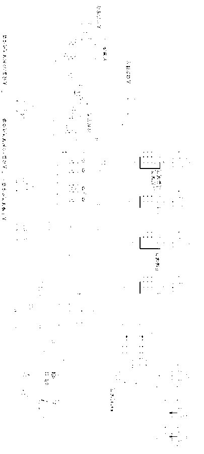 Equipment for producing high-nutrient monoammonium phosphate through double-tubular-reactor process