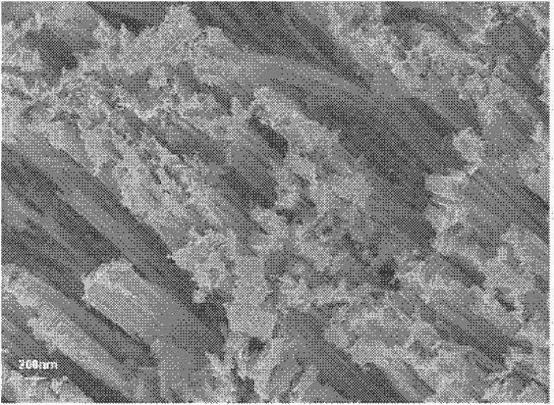 Polysilicon nanowire solar cell and preparation method thereof