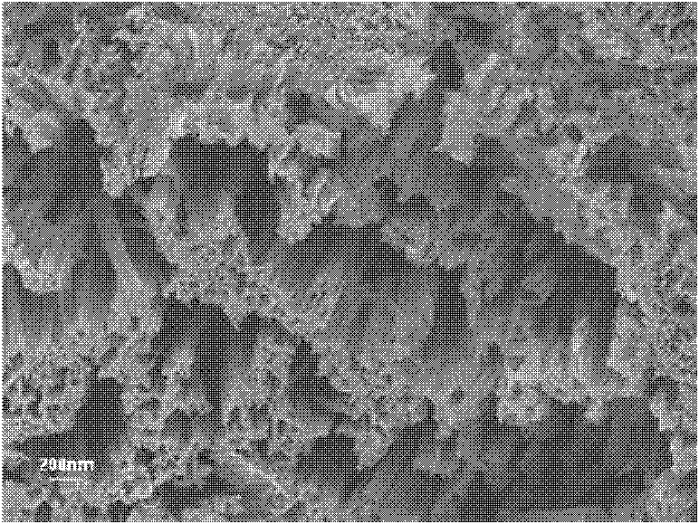 Polysilicon nanowire solar cell and preparation method thereof