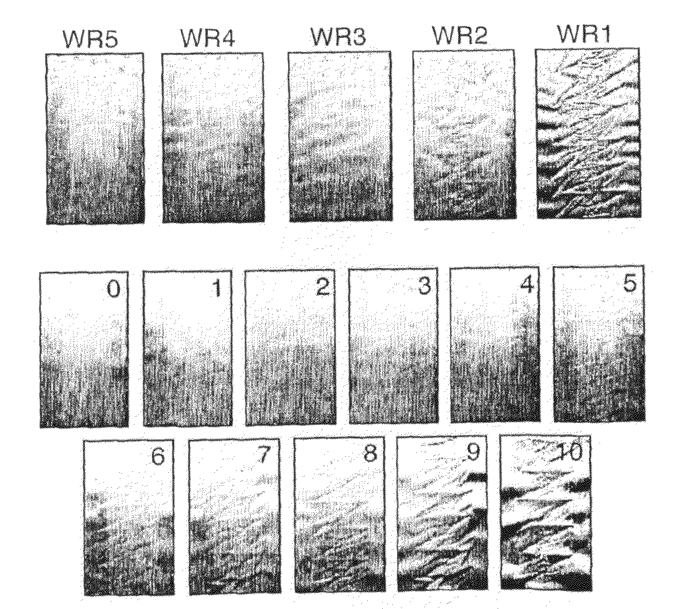 Fabric Care Compositions