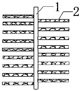 Method of improving seedling rate of magnolia biondii