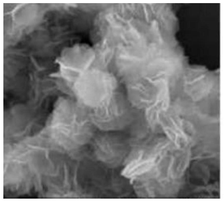 Preparation method of MoS2/S-NiCoCr-LDH composite material